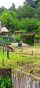 IMG20240520152511