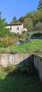 IMG20241101142116